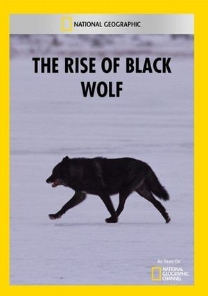 The Rise of Black Wolf's poster