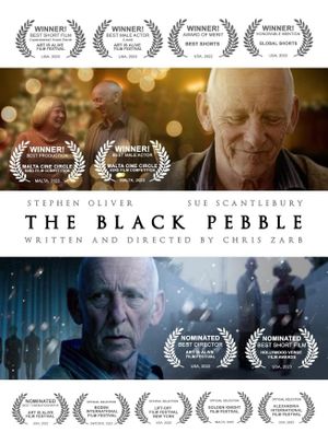 The Black Pebble's poster