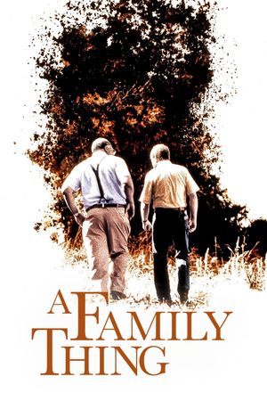 A Family Thing's poster