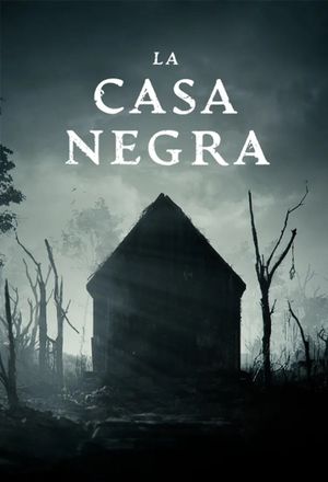 La Casa Negra's poster