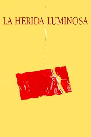 La herida luminosa's poster