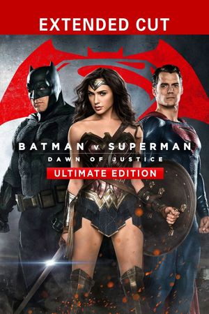 Batman v Superman: Dawn of Justice's poster