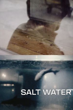 Salt Water's poster