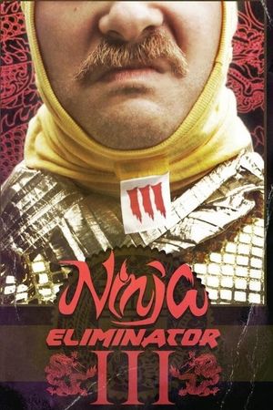 Ninja Eliminator 3: Guardian of the Dragon Medallion's poster