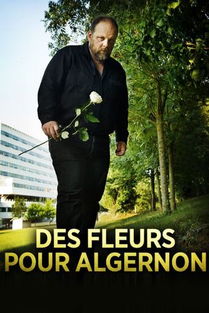 Flowers for Algernon's poster