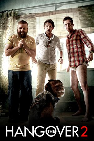 The Hangover Part II's poster