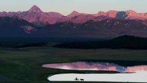 The Bounty Hunter of Mongolia's poster