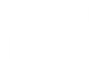 Wild Life's poster