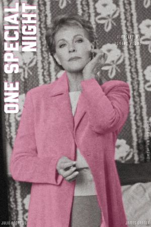 One Special Night's poster