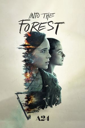 Into the Forest's poster