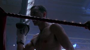 The Boxer's poster