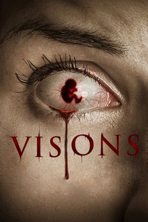 Visions's poster