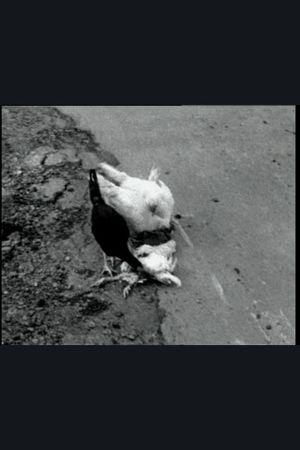 The Delmarva Chicken of Tomorrow's poster