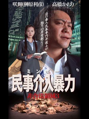 民事介入暴力 非合法領域3's poster