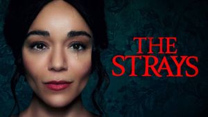 The Strays's poster