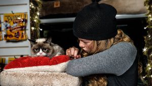 Grumpy Cat's Worst Christmas Ever's poster