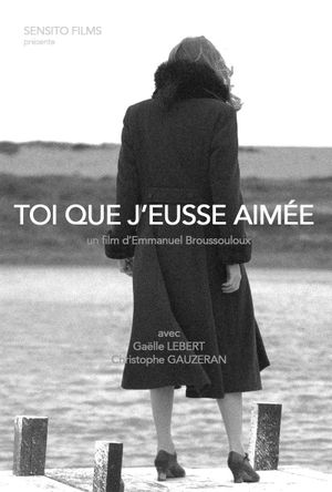 You that I would have loved's poster