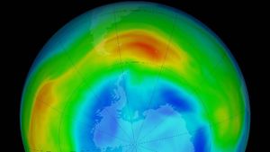 Saving Planet Earth: Fixing a Hole's poster