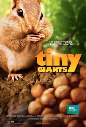 Tiny Giants's poster