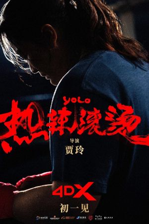 Yolo's poster