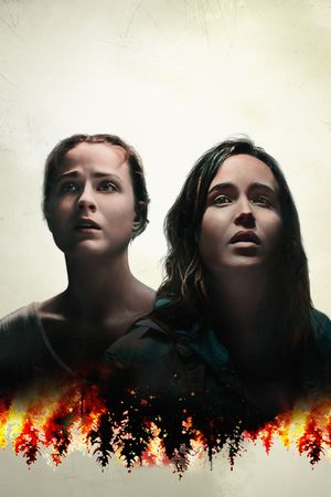 Into the Forest's poster