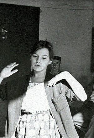 A nyaraló's poster