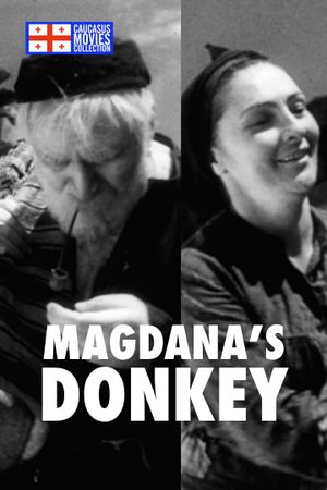 Magdana's Donkey's poster