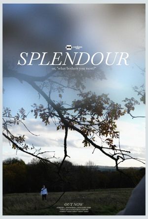 Splendour's poster