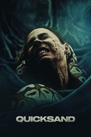 Quicksand's poster
