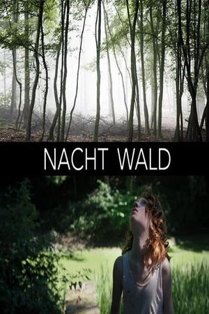 Nacht Wald's poster image