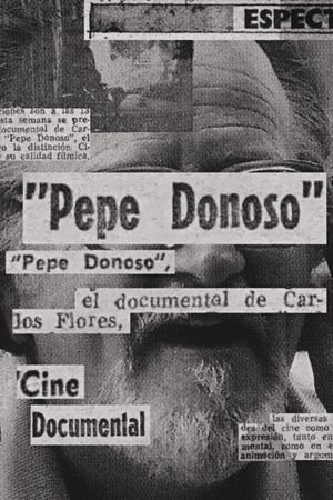 Pepe Donoso's poster