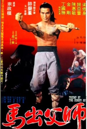 Lang zi di shi san's poster