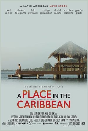 A Place in the Caribbean's poster