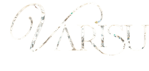 Varisu's poster