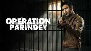 Operation Parindey's poster