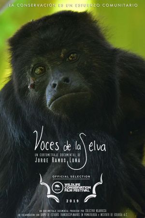 Rainforest Voices's poster