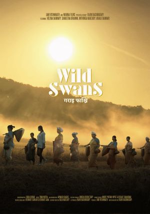 Wild Swans's poster