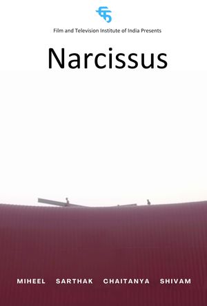 Narcissus's poster