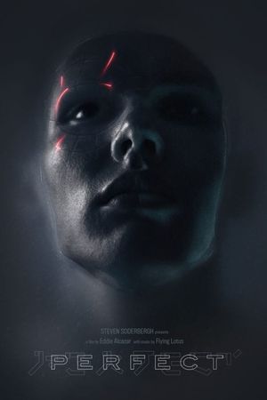 Perfect's poster
