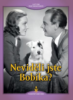 Nevideli jste Bobíka?'s poster