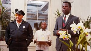 In the Heat of the Night's poster