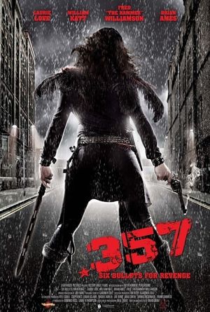 .357's poster
