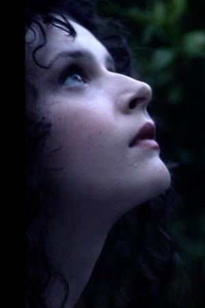 The Orchard's poster