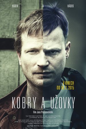 The Snake Brothers's poster