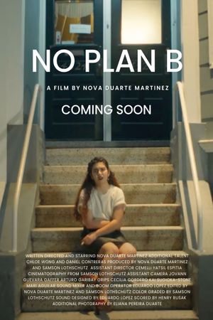 No Plan B's poster image