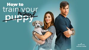 How to Train Your Husband or (How to Pick Your Second Husband First)'s poster