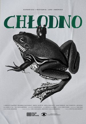 Chłodno's poster