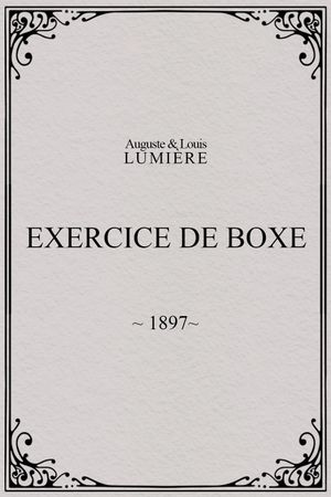 Exercice de boxe's poster