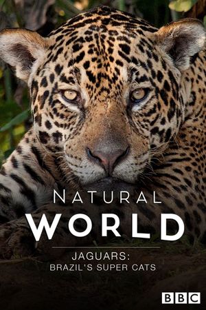 Jaguars: Brazil's Super Cats's poster image