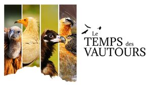 Le Temps des vautours's poster